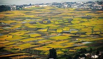 沧海变桑田