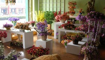 【郑州花店装修】河南维森装饰帮你提高顾客