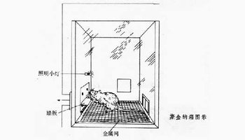 斯金纳箱