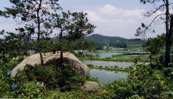龙头山森林公园
