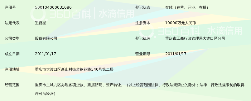 重庆市大渡口区同汇小额贷款股份有限公司_3