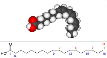 α-亚麻酸在紫苏油中占60%,亚麻籽油中占55%,在沙棘籽油中占32%,在