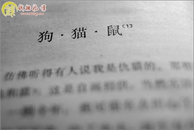 《狗·猫·鼠》:在这篇文章里,鲁迅先生清算猫的罪行:第一,猫对自己捉