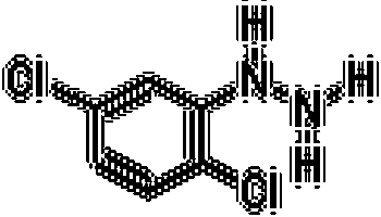2,5-二氯苯肼